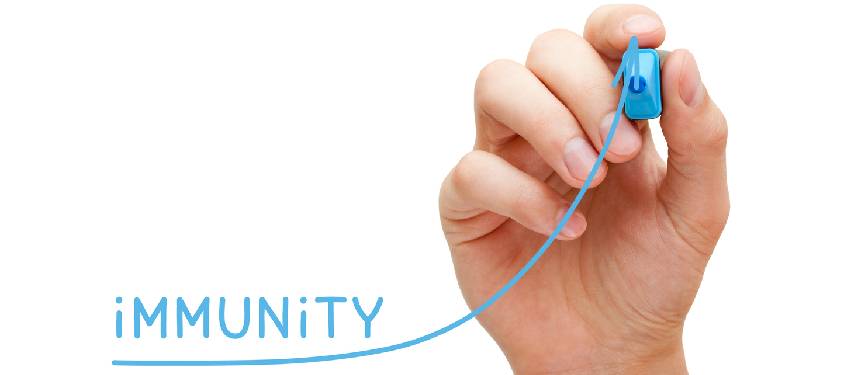 Chiropractic for Immune System Boost