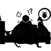 bedbug