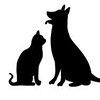 pets