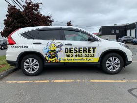 Deseret