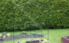 arbour_17_jpg