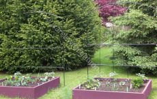 arbour_18_jpg