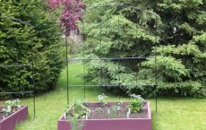arbour_19_jpg
