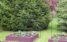 arbour_20_jpg