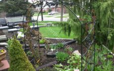 arbour_3_jpg