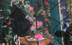arbour_40_jpg