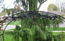 arbour_4_jpg