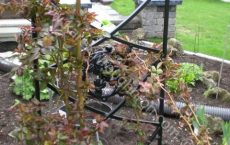 arbour_5_jpg