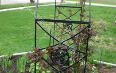 arbour_6_jpg
