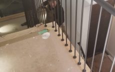 20191219_233219