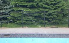 Wrought_Iron_Fence_133_jpg