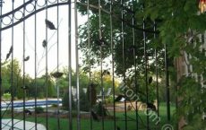 Wrought_Iron_Gate_102_jpg