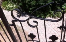 Wrought_Iron_Gate_137_jpg