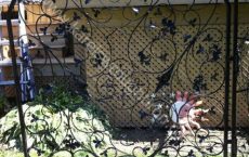 Wrought_Iron_Gate_139_jpg
