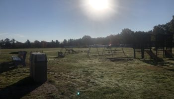 IMG_2379