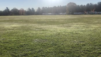 IMG_2382