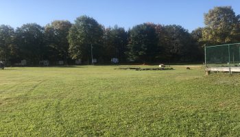IMG_2383