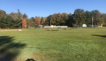 IMG_2394