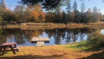 Pond