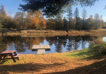 Pond