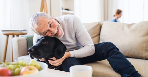 Canadian Business Owners and Retirement: Consider an Individual Pension Plan
