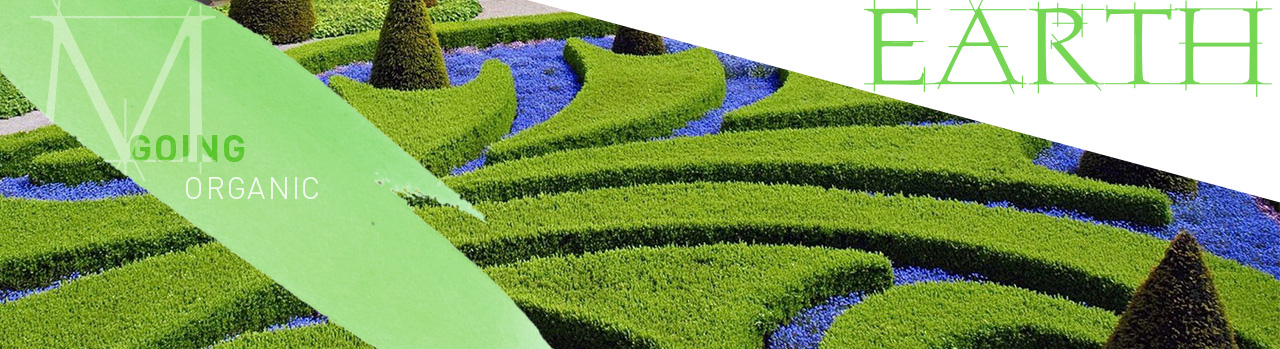 earthx