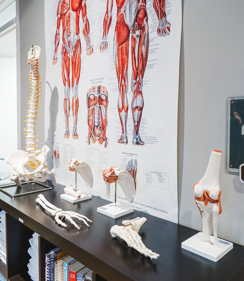 Movement Solutions Physiotherapy