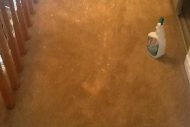 Carpet Bleach Stain Removal Ottawa Before Cleaning