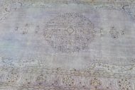 Pet Urine Stain Cleaned from Rug