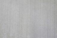 Dog Pee Stain Removed from Viscose Rug