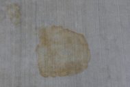Dog Pee Stain Removed from Viscose Rug