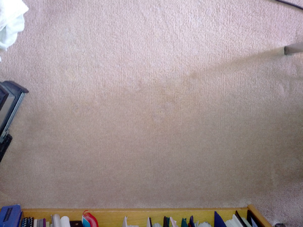 This is the same carpet after we treated and fixed the bleach stains.