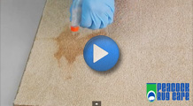 How To Remove Coffee Stains From Carpets - Tips and How to Videos