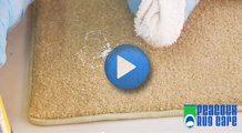 How To Remove Paint From Carpets - Tips and How to Videos
