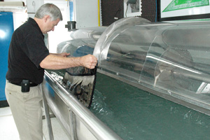 Murray washing an Ottawa area rug