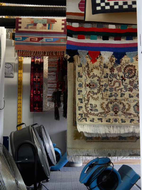 This picture is of the dry room at our rug washing plant in Kemptville