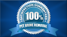 Pet Urine Removal Guarantee
