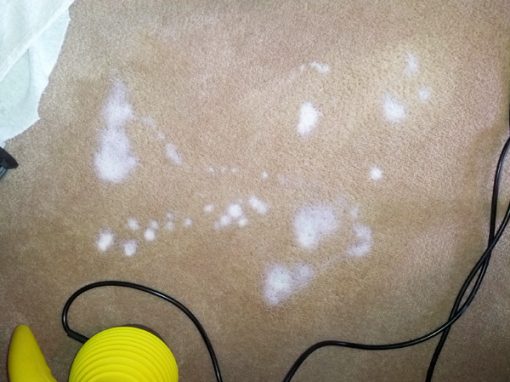 1carpetBleachStainsBefore-510x382
