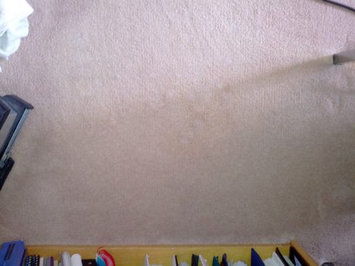 2carpetBleachStainsAfter-510x382