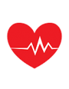 CARDIOVASCULAR CARDIOVASCULAR