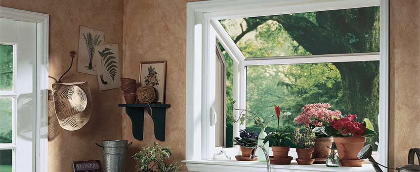 Windows Safety Tips