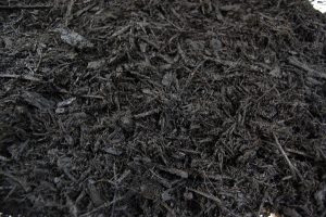 Black-Mulch Black-Mulch