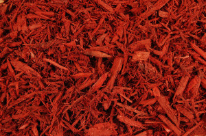 Bright-Red-Cedar-Mulch-300x199