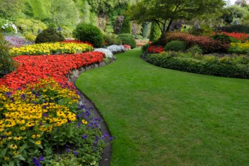 GardenMaintenance-350x233