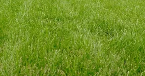 3f9bde9e2eea4f978a20edfb389e5e9d