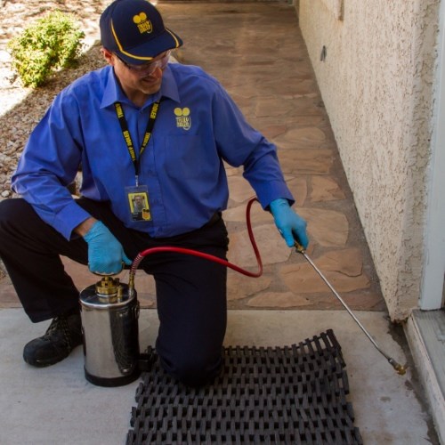 technician-500x500
