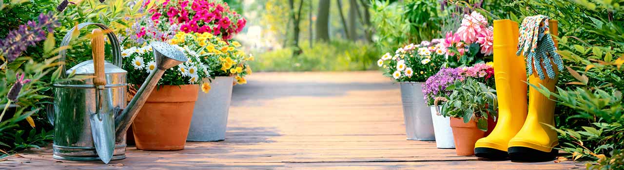 a shovel, yellow boots and flowers to be planted