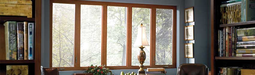 Window Basics